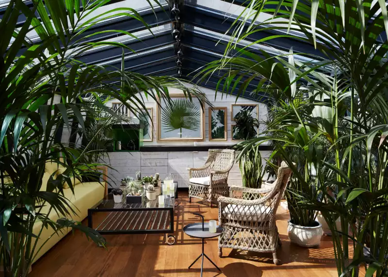 jardin - d'hiver- style- jungle- CKA Paris