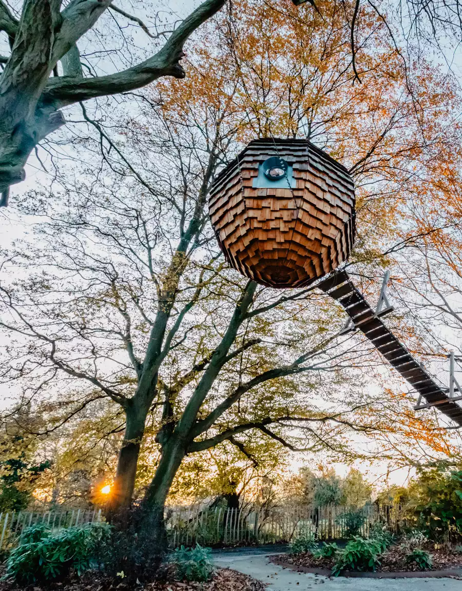 Cabane dans les arbres