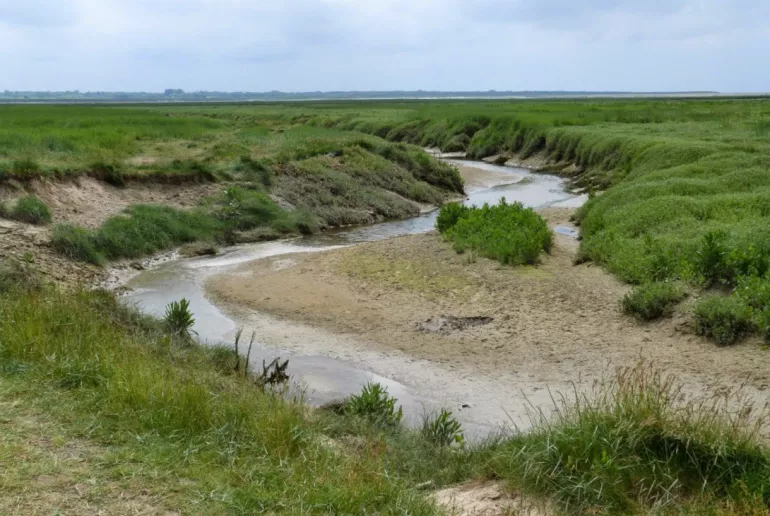 Les sentiers de la baie d'Authie