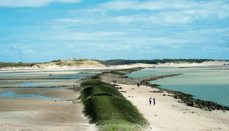 Vue sur la baie d'Authie depuis la plage des Sternes à Berck-sur-Mer