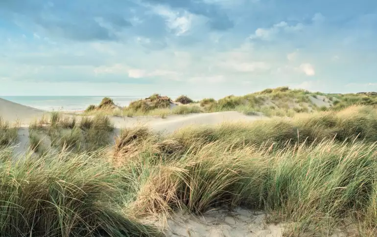 La baie d'Authie, c'est aussi un massif dunaire à découvrir le long de circuits balisés 