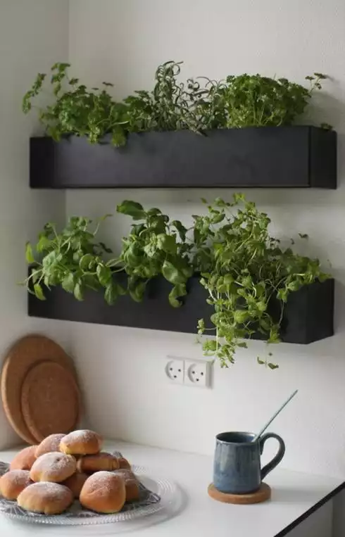 Gardenista - pot - jardinière-potager-intérieur-plantes-aromatiques 