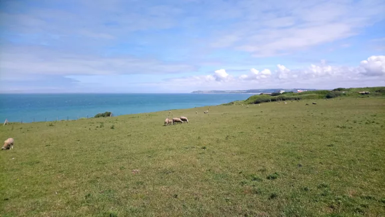 Gris Nez - Côte d'Opale