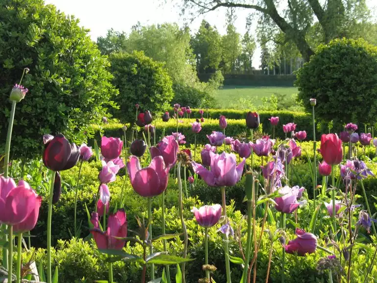 Les jardins du Mont des Récollets 