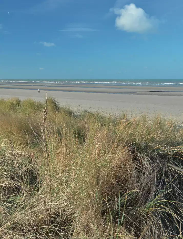 La Panne Tourisme