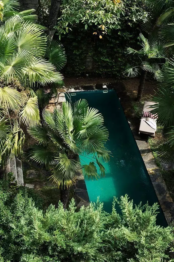 Reto-Guntli-Piscine-orientale-avec-palmiers