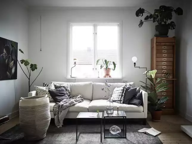 Salon scandinave