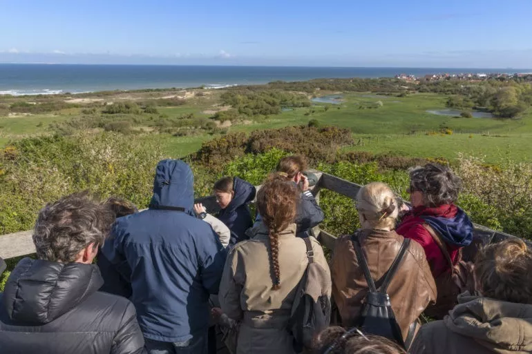 Les dunes de Wissant, le Cap Blanc-Nez - Caroline GENEAU