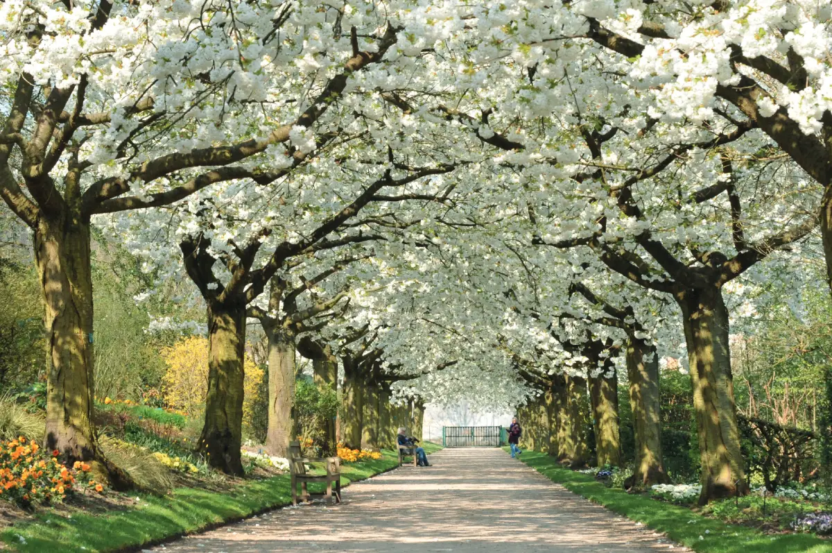 Les Jardins de l’Abbaye de Valloires