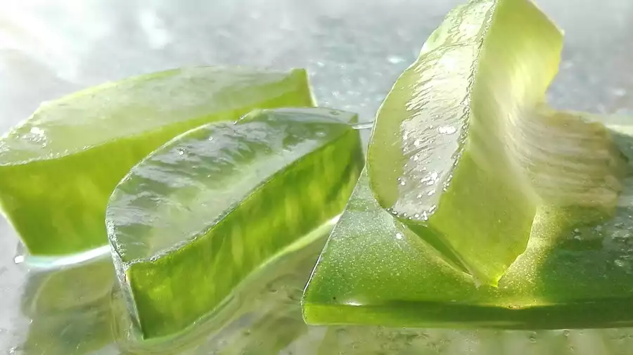 aloe vera beauté