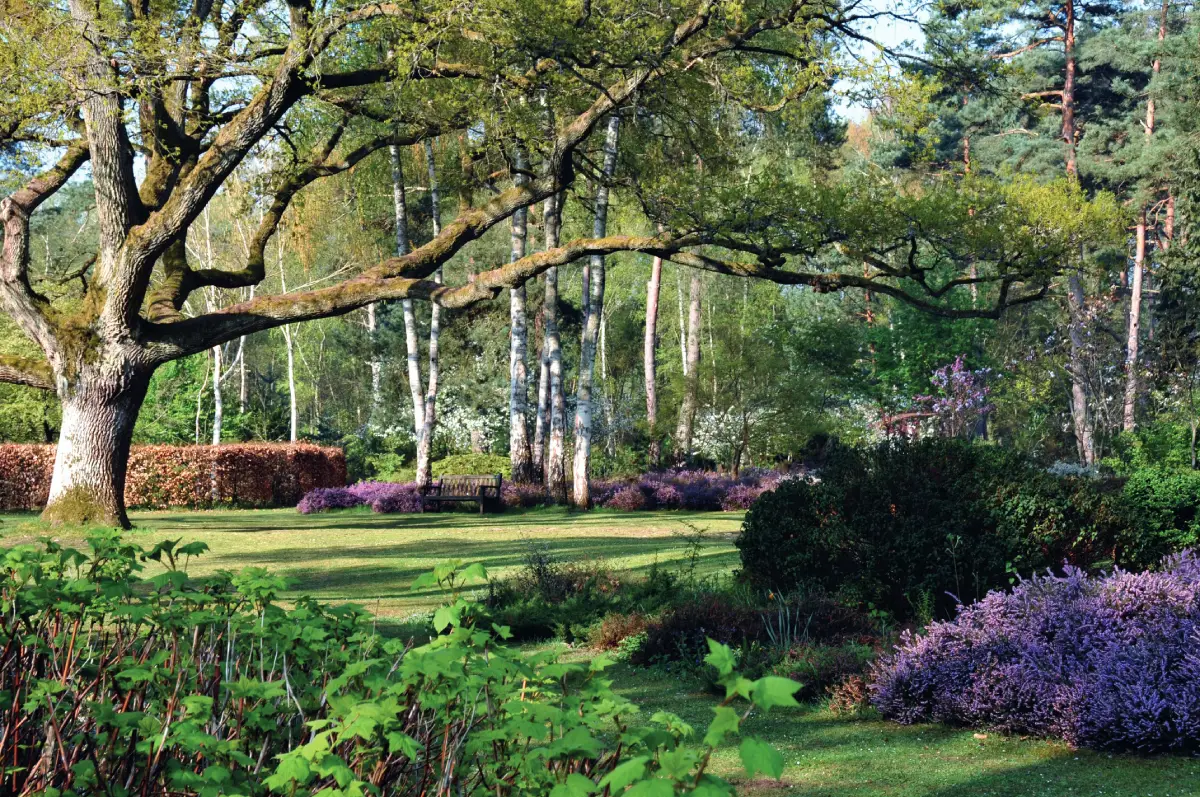 Arboretum des Grandes Bruyères, jardin remarquable