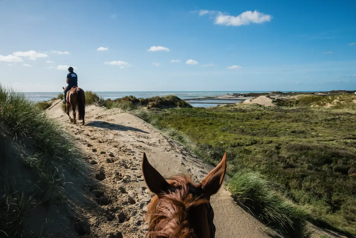 Balade à cheval Baie d'Authie