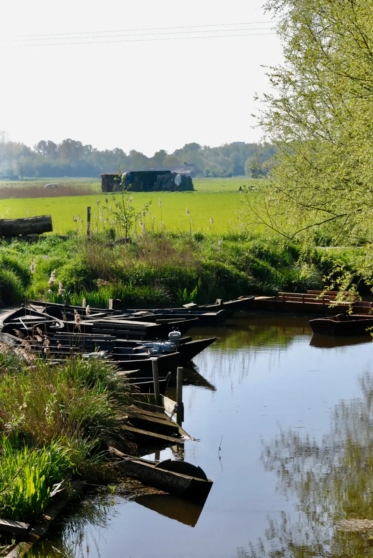 Alignement de bateaux sur le marais audomarois