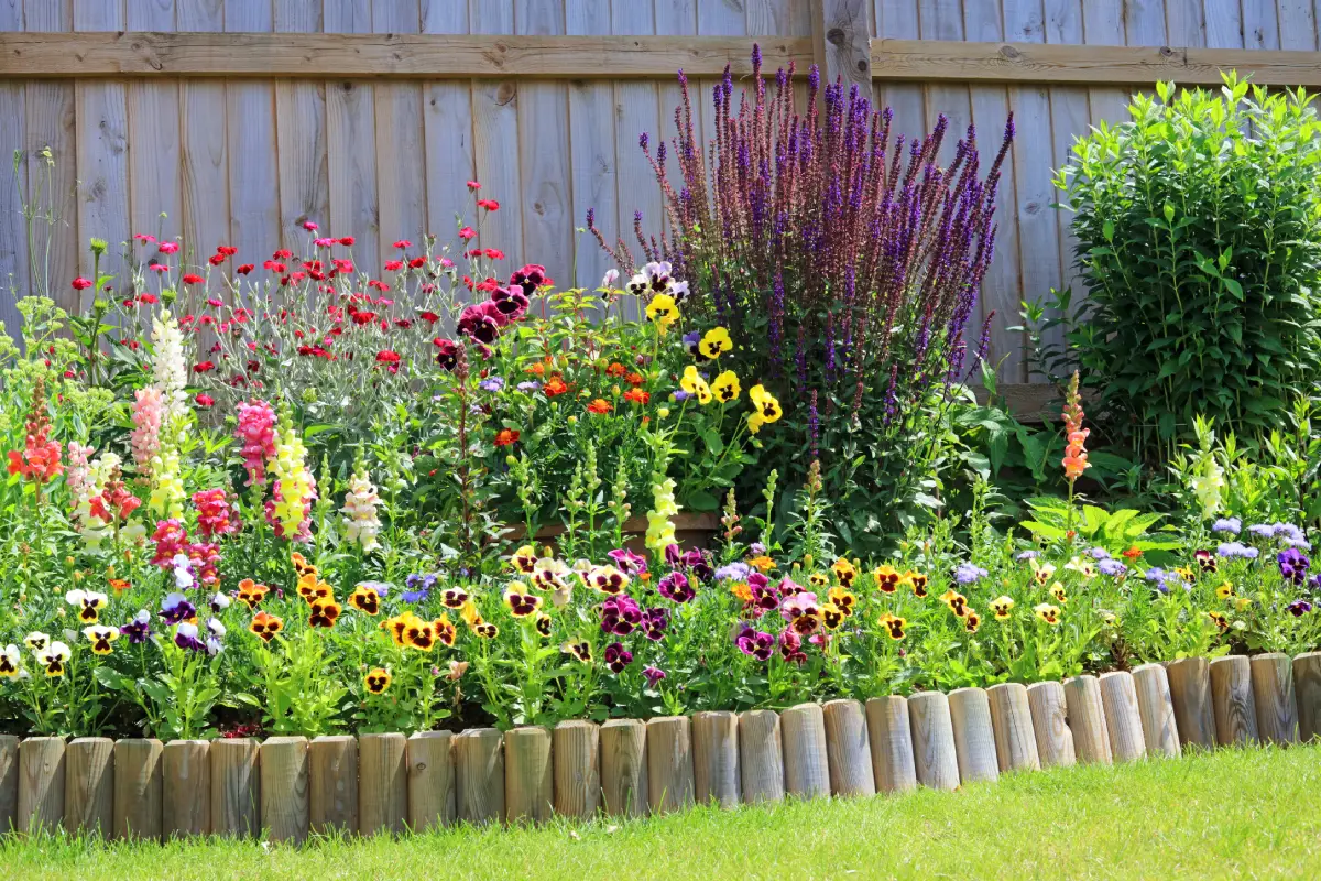 Bordure en bois entre l'herbe et l'espace fleuri