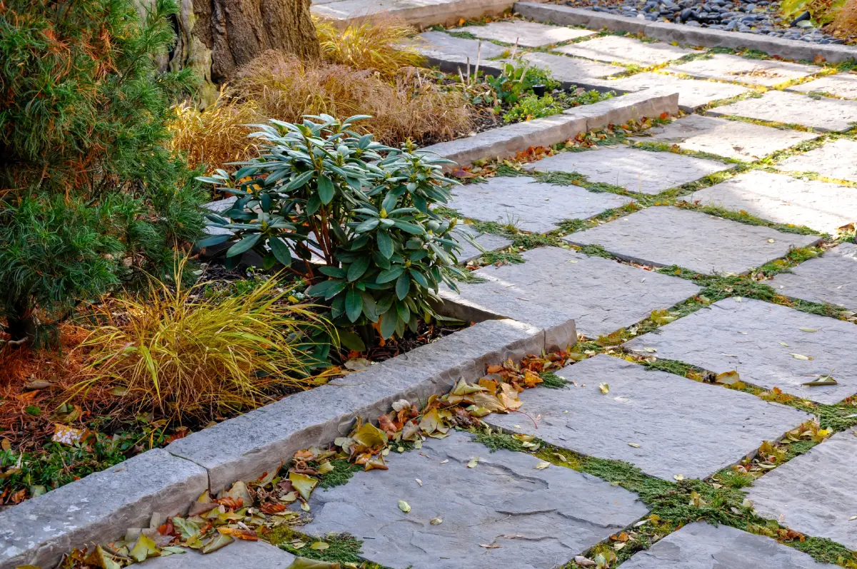 Pavés en pierre pour délimiter les espaces verts du passage