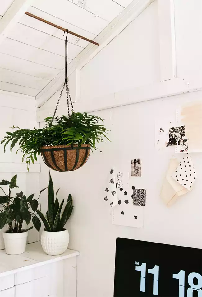 Bureau pastel avec plantes