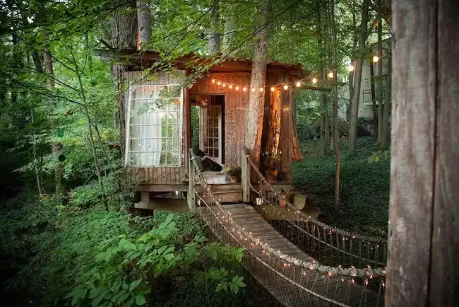 Cabane dans les arbres, extérieur