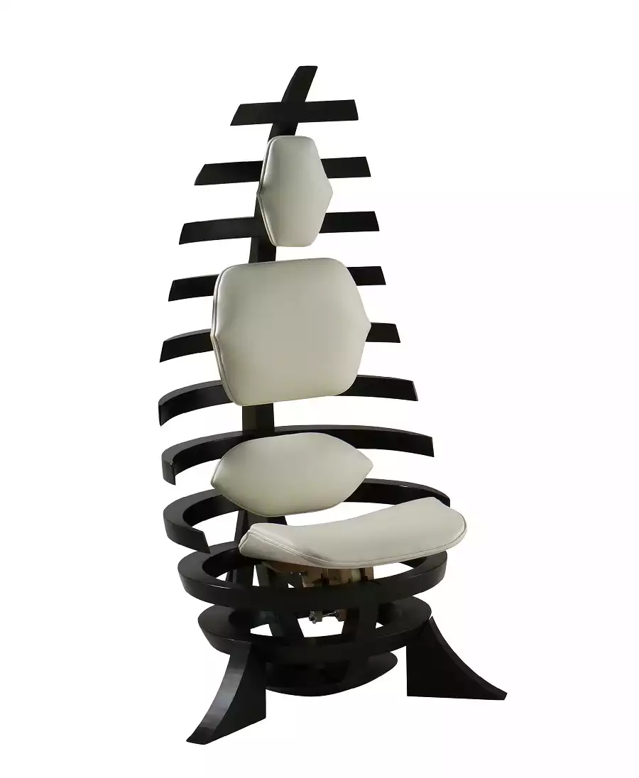 Chaise vertébrale