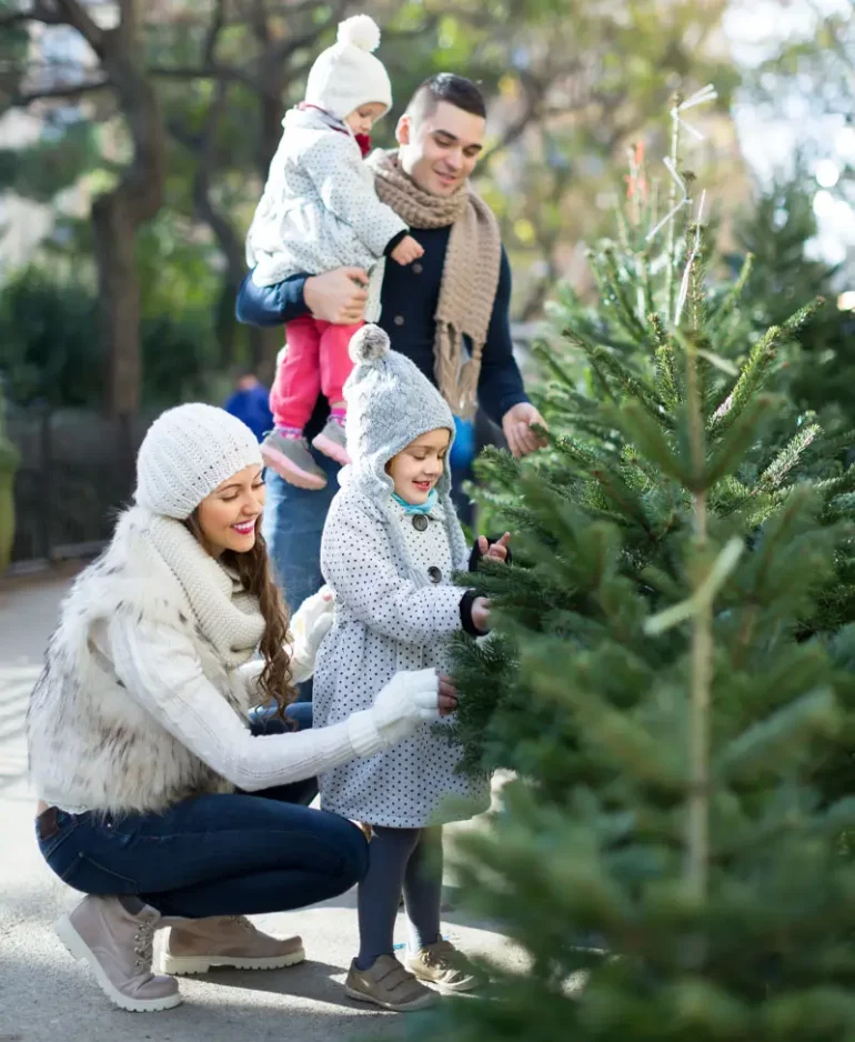 Famille qui choisit son sapin de Noël