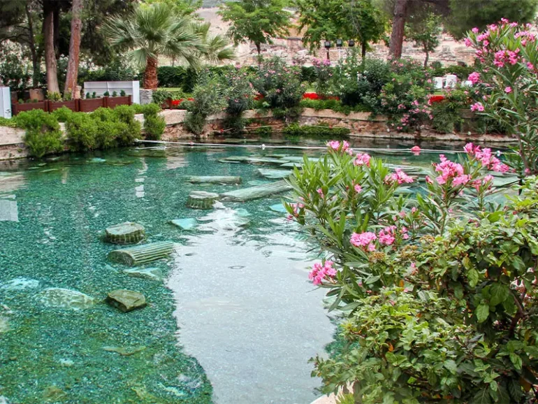 Construire sa piscine naturelle, plantes aquatiques, rochers au fond de l'eau