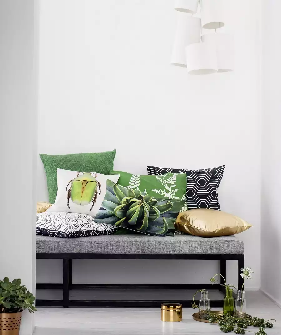 Coussins verts