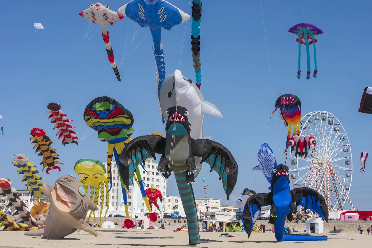 Zoom sur le festival du cerf-volant à Berck-sur-Mer : Femme