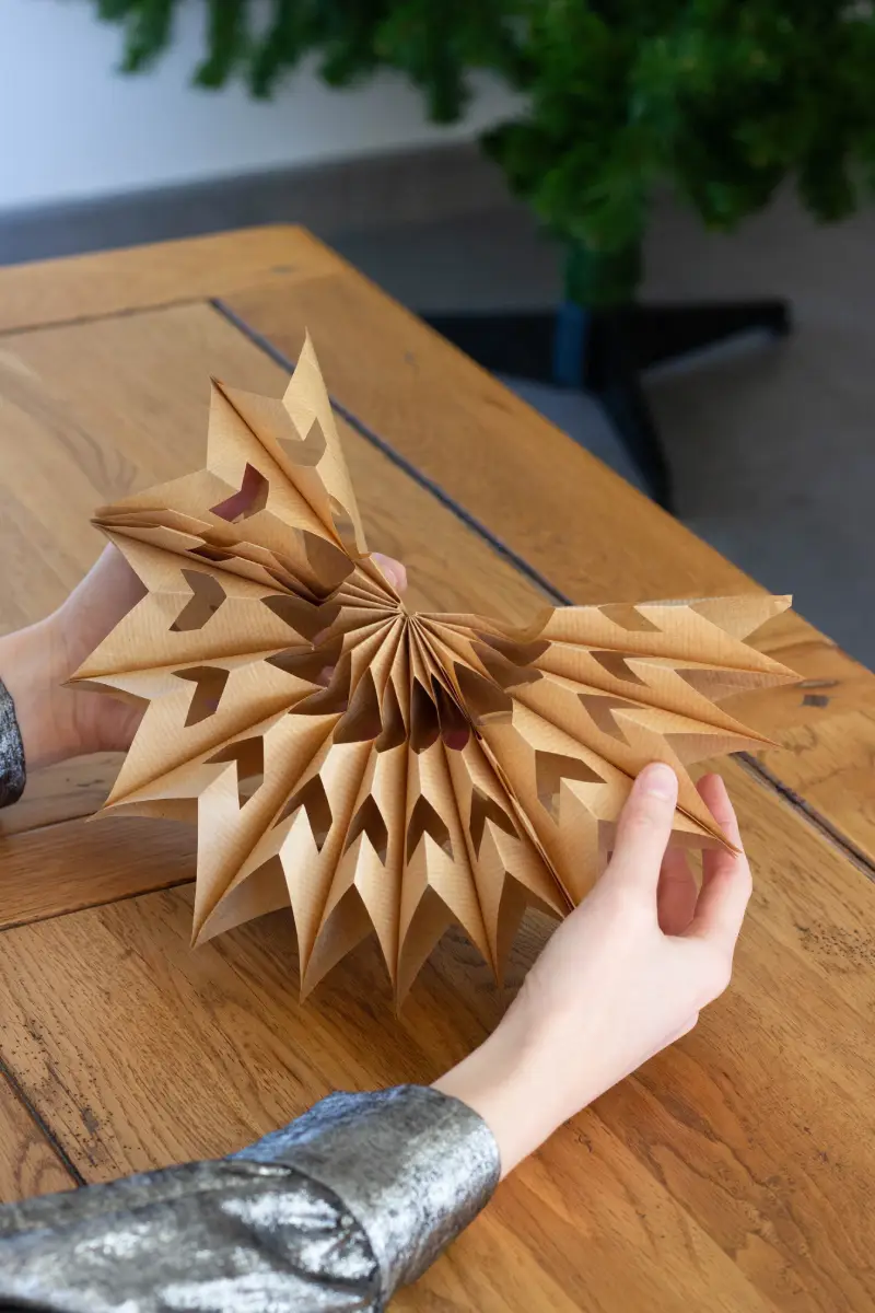 Déployer délicatement l'étoile en papier et vérifier qu'il y a assez de branches