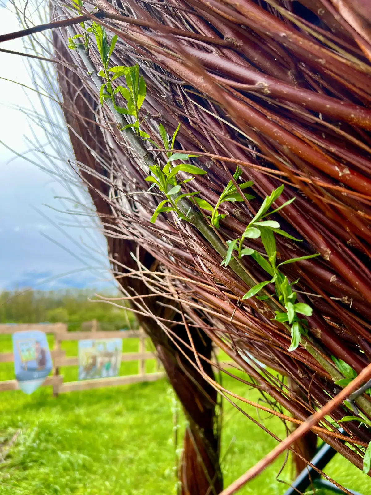 Détail de l'œuvre La fleur échappée