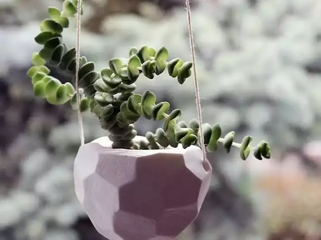 DIY suspension florale