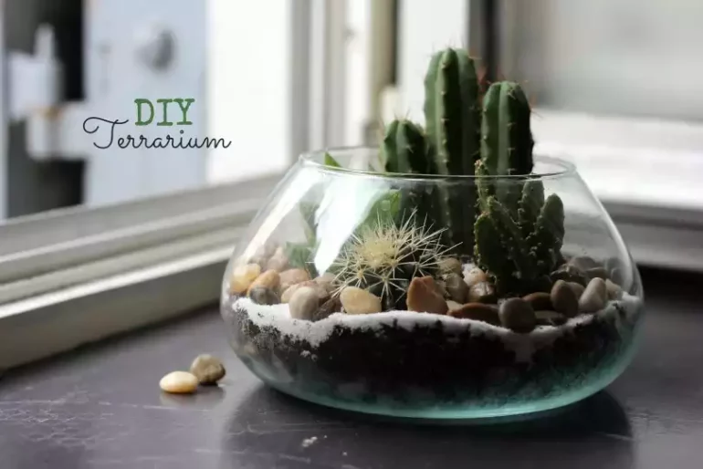 DIY Terrarium