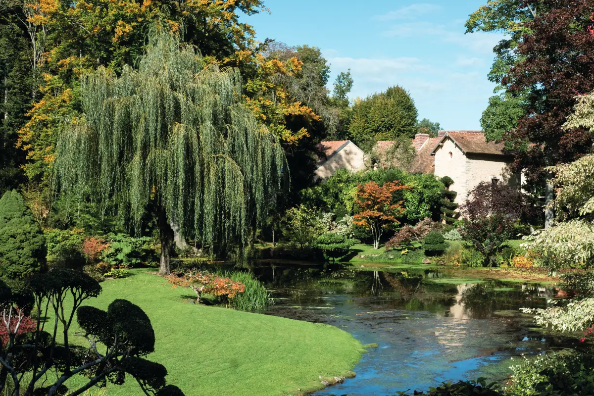 Parc de Courances