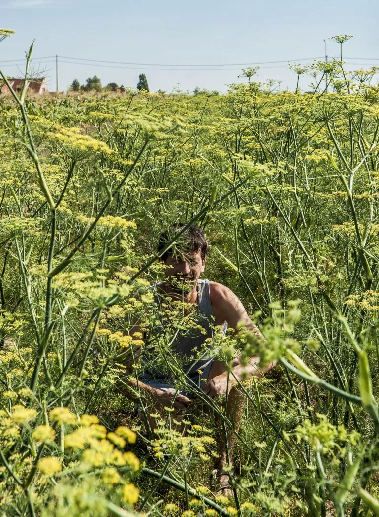 Photo Sébastien Hamelin