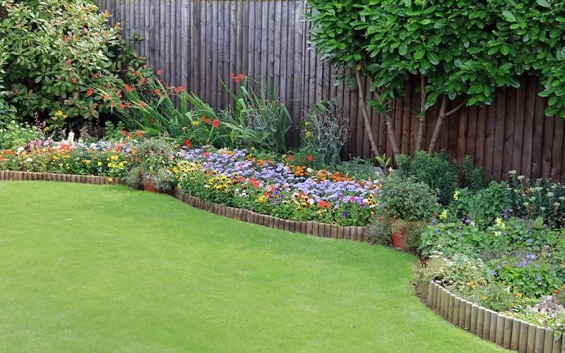 Bordure de jardin, délimitation entre fleurs et herbe