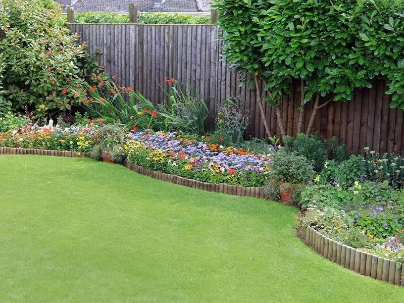 Bordure de jardin, délimitation entre fleurs et herbe