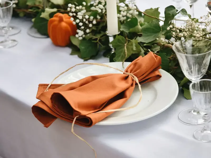 Dressage assiette serviette de table