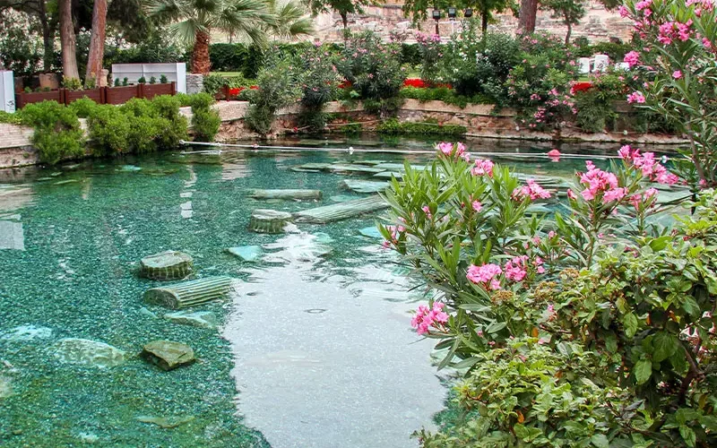 Construire sa piscine naturelle, plantes aquatiques, rochers au fond de l'eau