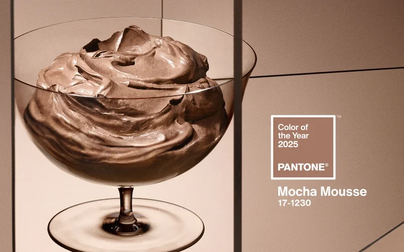 Couleur pantone 2025 Mocha Mousse