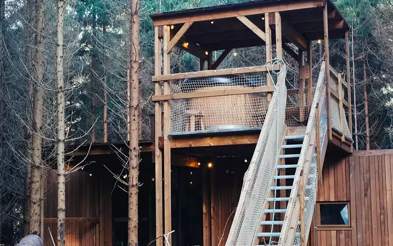 cabanes foret