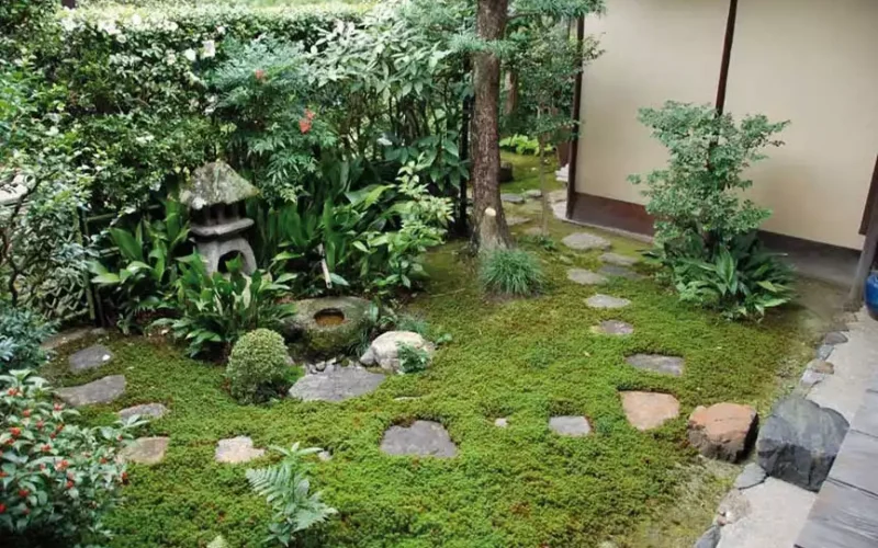 jardin-japonais-8301