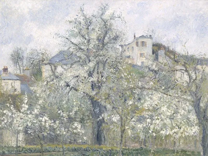 Œuvre impressionniste Printemps. Pruniers en fleurs de Camille Pissarro, appartenant à la collection du musée d'Orsay, visible au MUba de Tourcoing