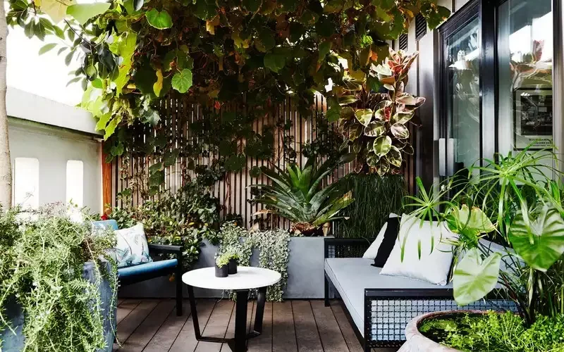 patio-avec-plantes-tropicales-27084
