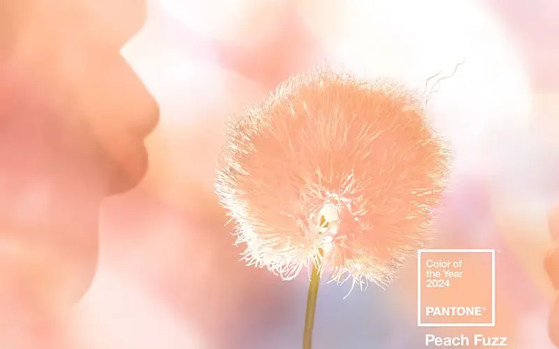 Peach Fuzz, couleur de l'année Pantone 2024