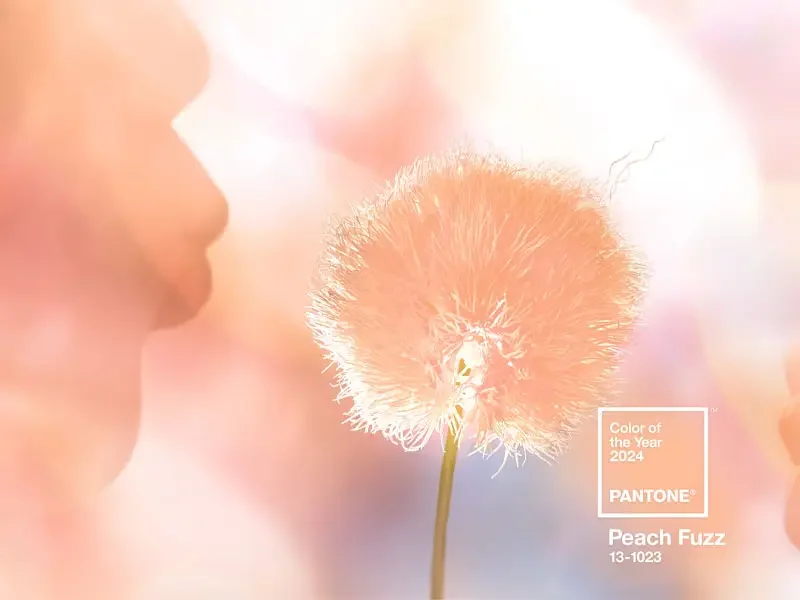 Peach Fuzz, couleur de l'année Pantone 2024