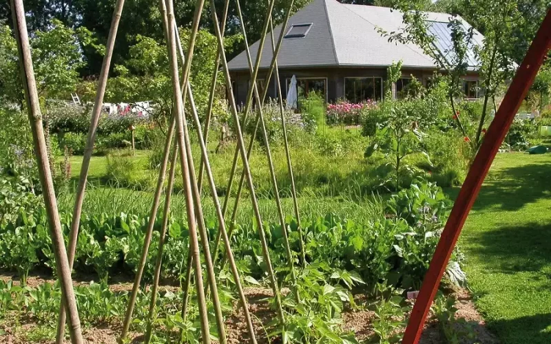 Jardin et potager - nature - Printemps