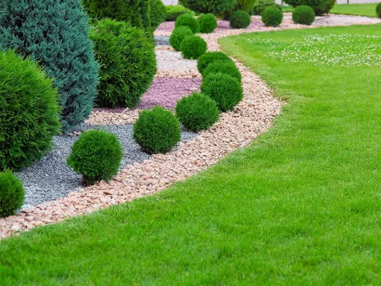 Entretien terrain de jardin