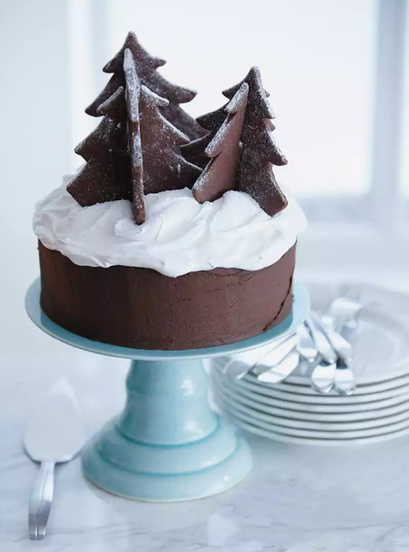 Gâteau au chocolat Noël