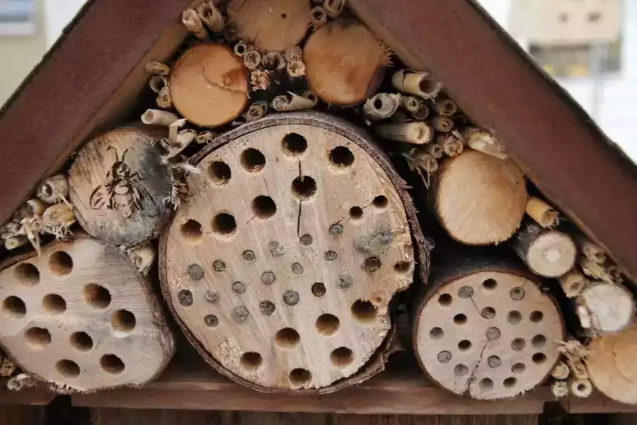 hotel pour insectes