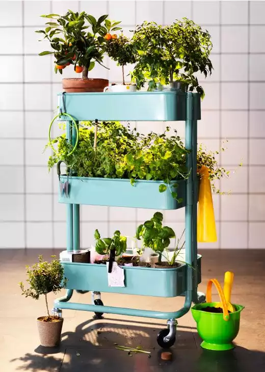 Ikea - desserte - potager - intérieur -plantes