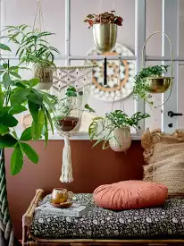 interieur scandinave jungle