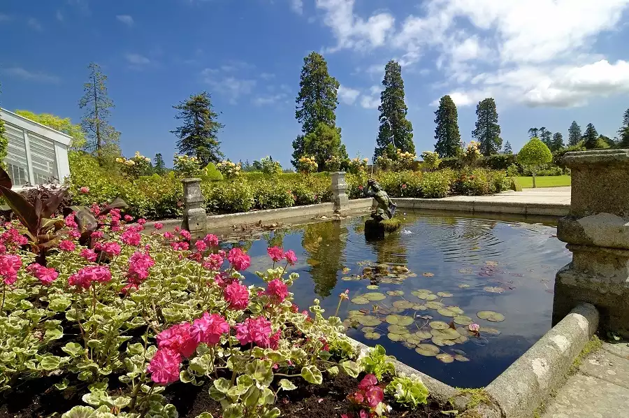 Jardin à la francaise